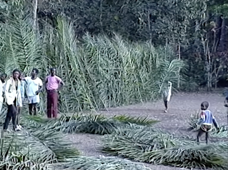 BALAGWALAZU: The Town of Seven Cotton Trees