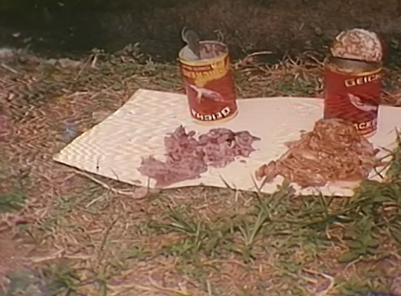 Food From the Soil _nd_20220328_V005_Prog1_AnyahR_v1.png
